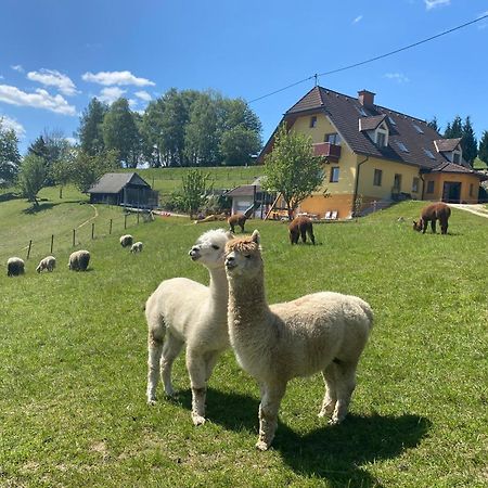 Biohof Kroisleitner Sankt Jakob im Walde Esterno foto