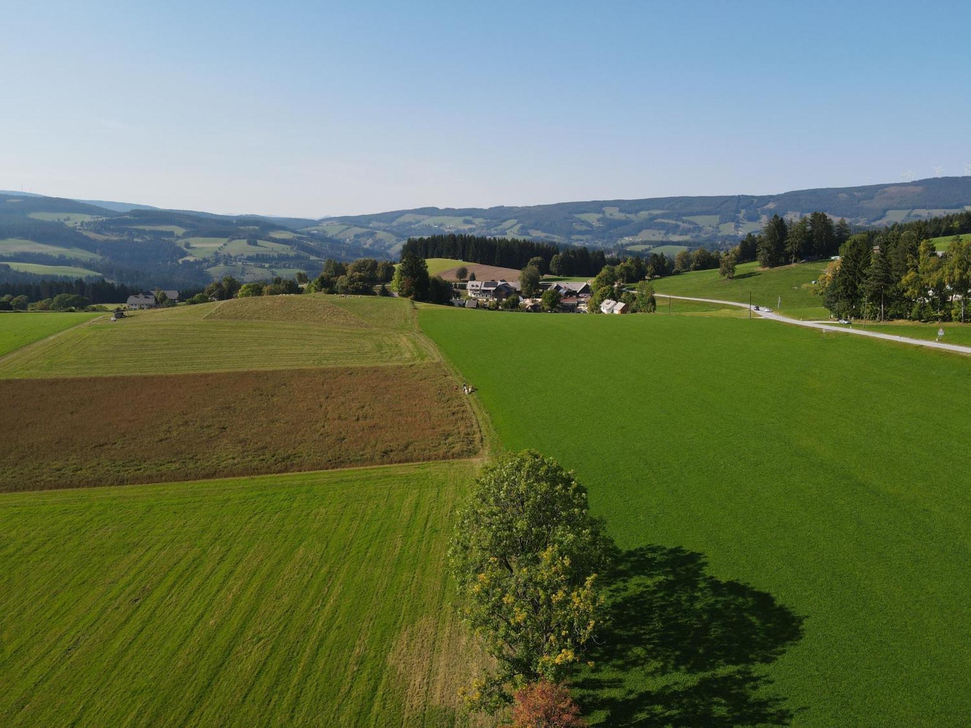 Biohof Kroisleitner Sankt Jakob im Walde Esterno foto