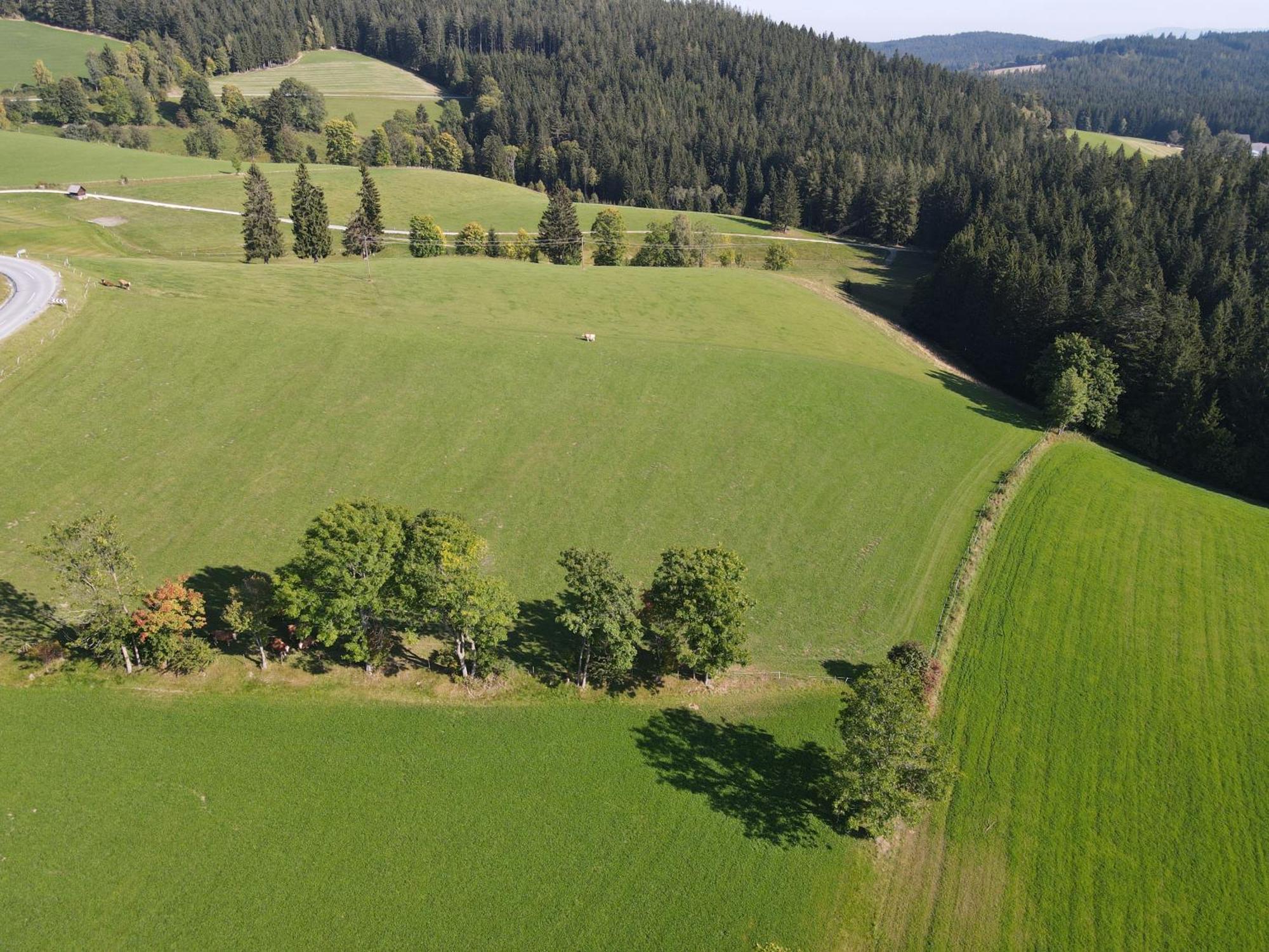Biohof Kroisleitner Sankt Jakob im Walde Esterno foto