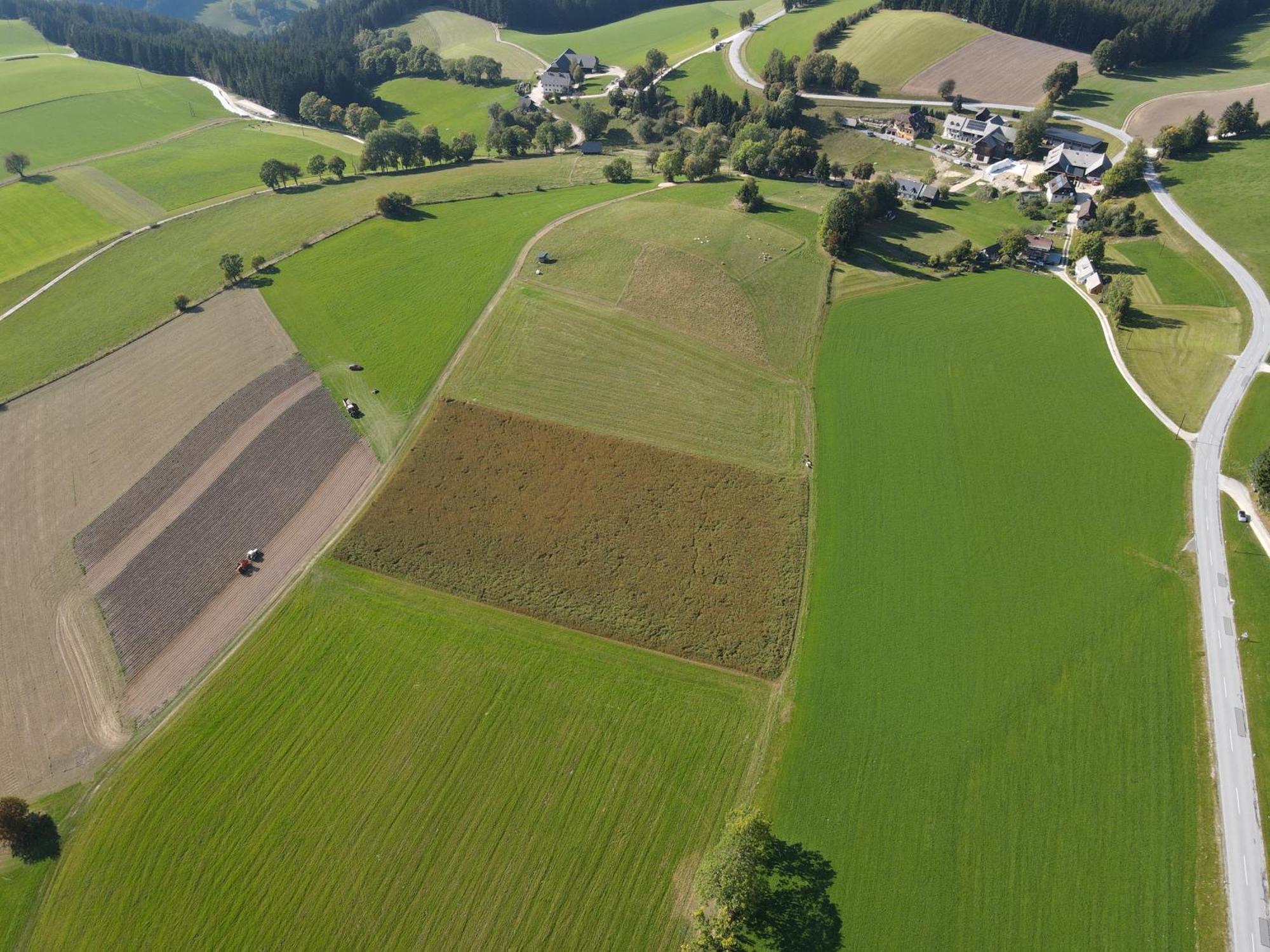 Biohof Kroisleitner Sankt Jakob im Walde Esterno foto