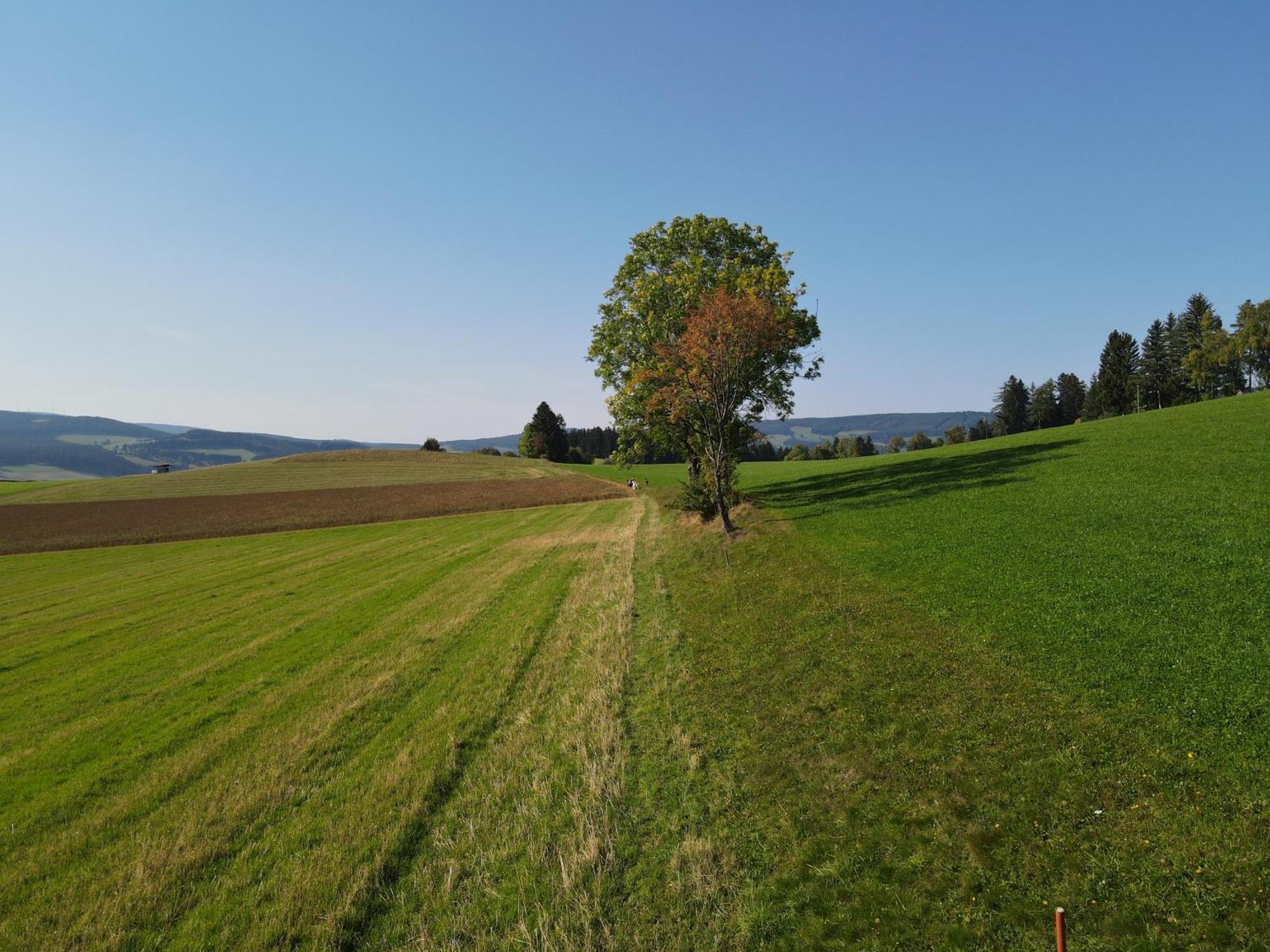 Biohof Kroisleitner Sankt Jakob im Walde Esterno foto
